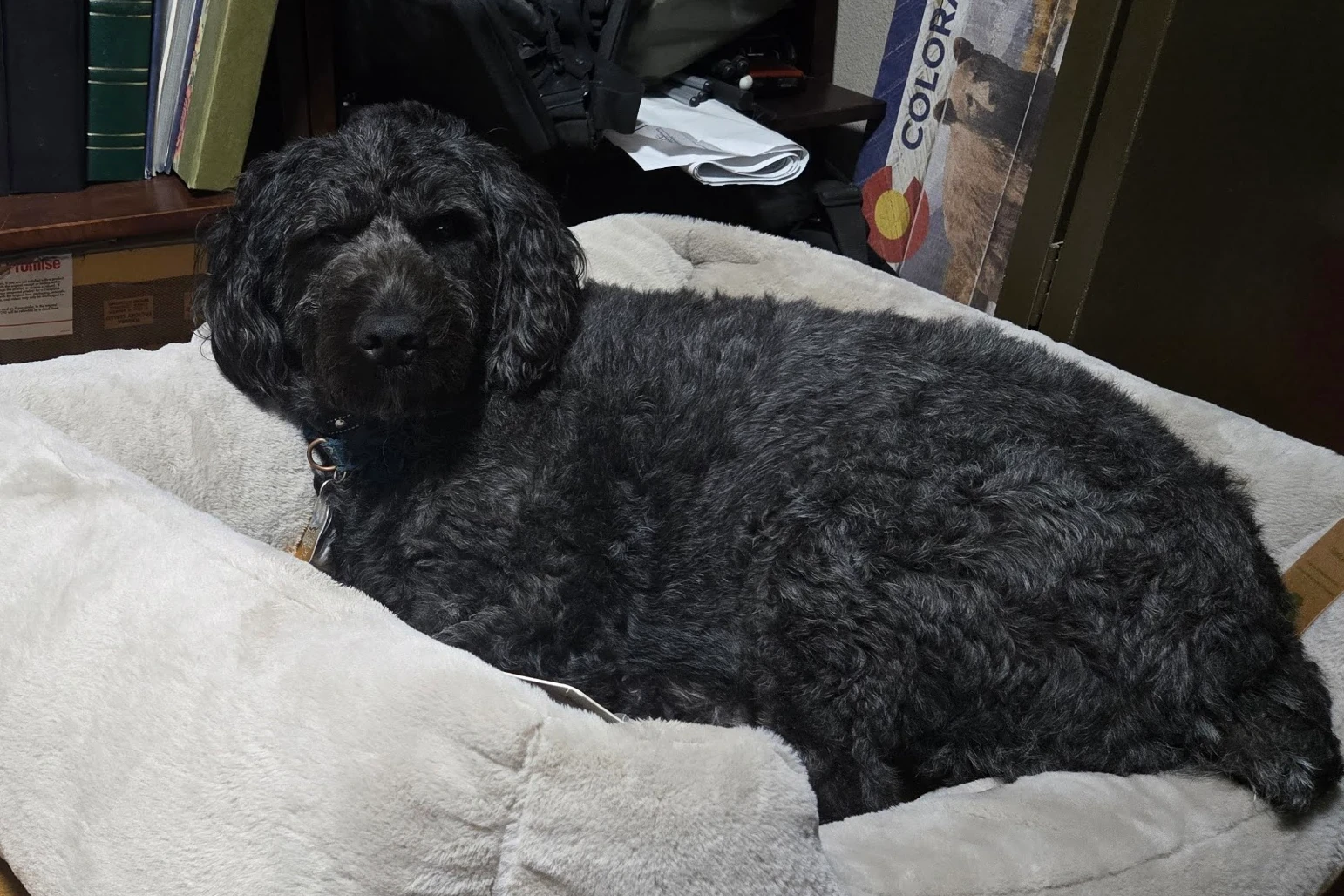 At least she's awake, right?